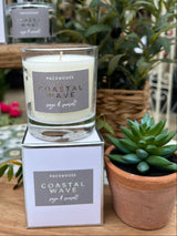 Packhouse Reed Candle - Coastal Wave