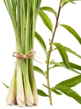 Hand Poured Luxury Candle - Lemongrass & Verbena 200g