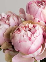 Hand Poured Luxury Candle - Peony 200g