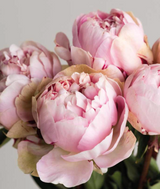 Hand Poured Luxury Candle - Peony 640g (Unboxed)