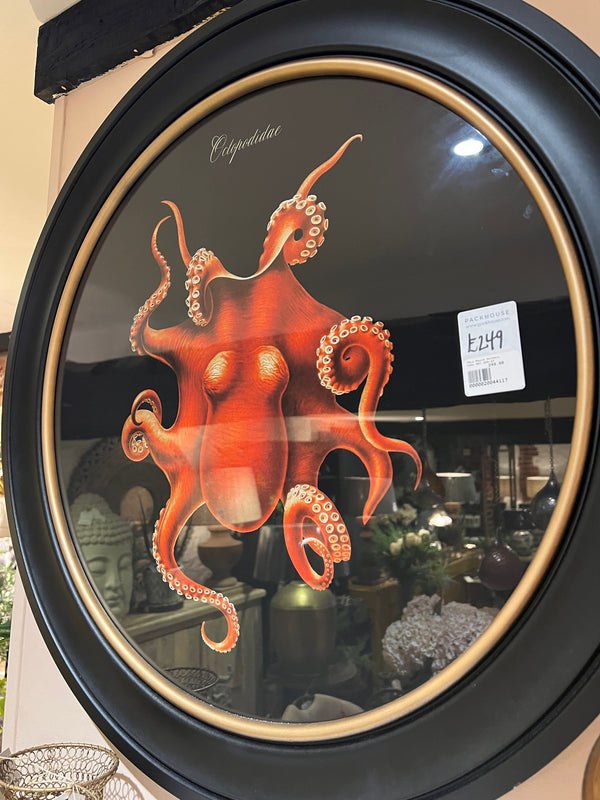 Round Framed Orange Octopus