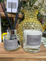Packhouse Reed Diffuser - Citrus Grove