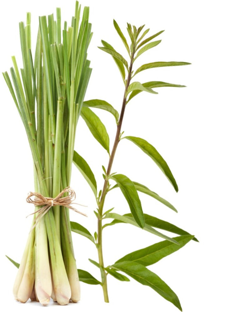 Hand Poured Luxury Candle - Lemongrass & Verbena 640g (Unboxed)