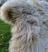 Fluffy Sheepskin Rug